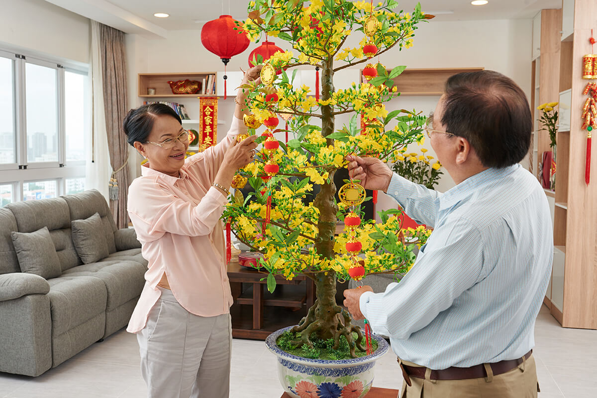 Các loại cây hoa đào, hoa mai, quất,… được rất nhiều người lựa chọn làm quà Tết Các loại cây hoa đào, hoa mai, quất,… được rất nhiều người lựa chọn làm quà Tết